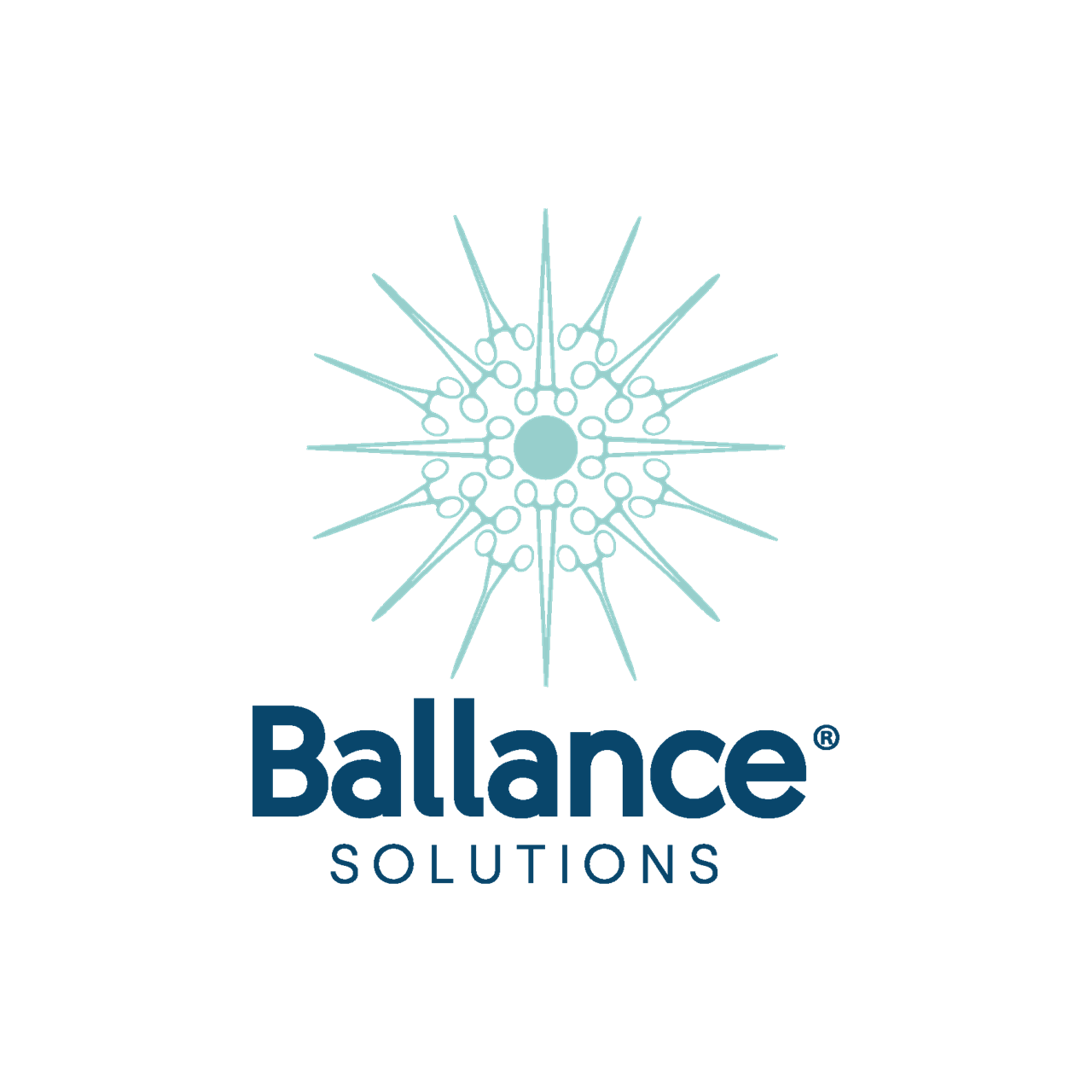 Balance Solutions