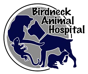 Birdneck Animal Hospital